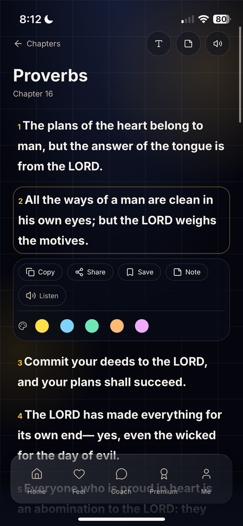 HeavenMade Bible reading screen